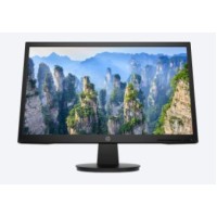 HP V22 21.5" Monitor