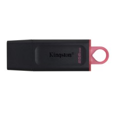 Kingston 256GB DTX USB 3.2